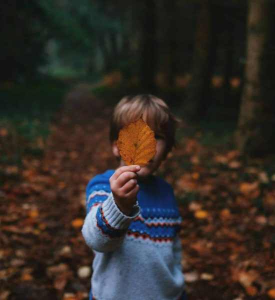 l'enfant tyran devient un pervers narcissique ?