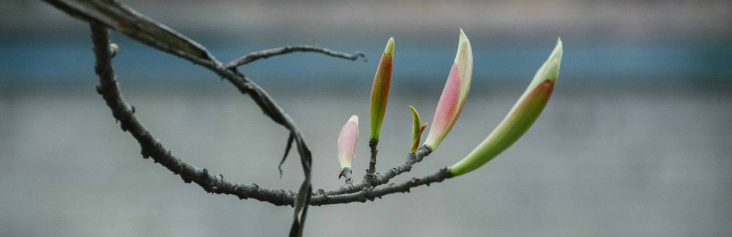 resilience professionnelle